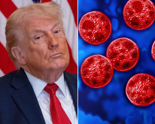 Trump public health cuts worsen record US cyclosporiasis outbreak