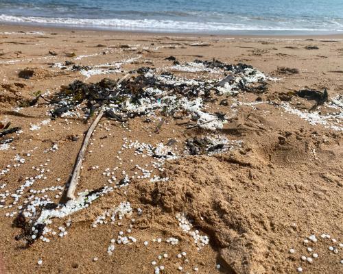 Plastic Nurdle Spill in River Tyne: Environmental Crisis Unfolds