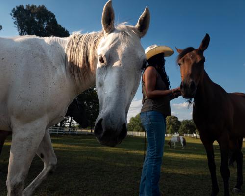 How a Black Family Built a Latino Cultural Hub in Rural NC