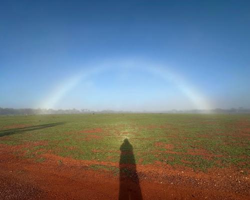 Fogbow: The Rare White Rainbow You Can See in Australia