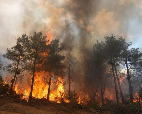 France Wildfires: 250,000 Evacuated as Blazes Rage