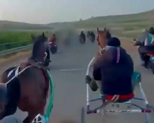 Sicily Police Investigate Illegal Horse Race With Kalashnikovs - grandgoldman.com