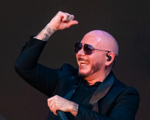 The Pitbull Effect: Bald Confidence Is Sexy and Single Ready