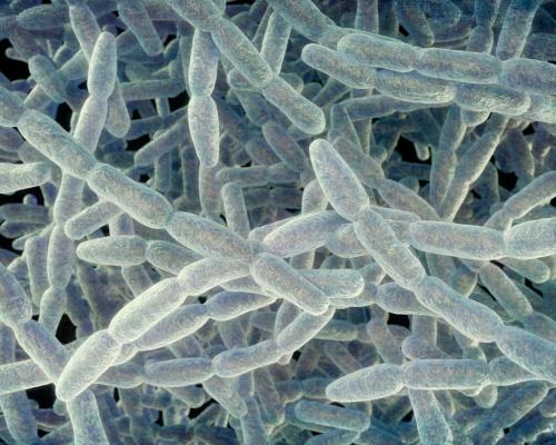 Legionnaires' Disease Outbreak: Fifth Death in NYC Upper East...