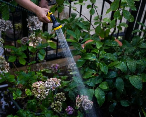 Thames Water Hosepipe Ban: 23 Million Affected as Drought Looms