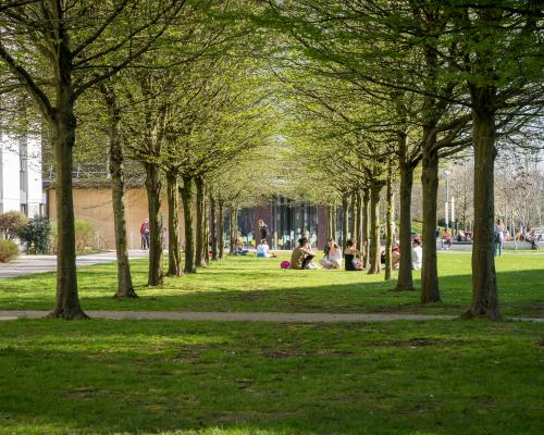 AI Drug Discovery Career: Online MSc in Computer Science at Bath