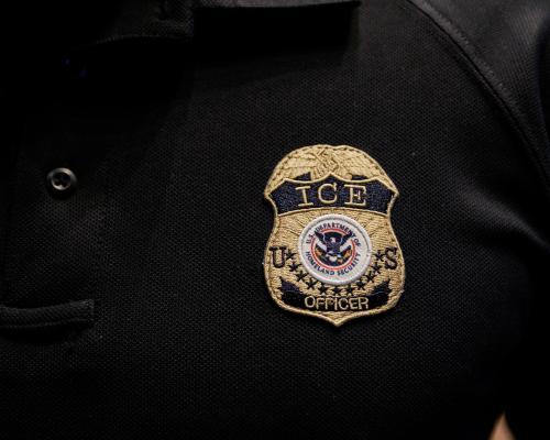 ICE Officers Use Batons on Protesters: Calls for Investigation