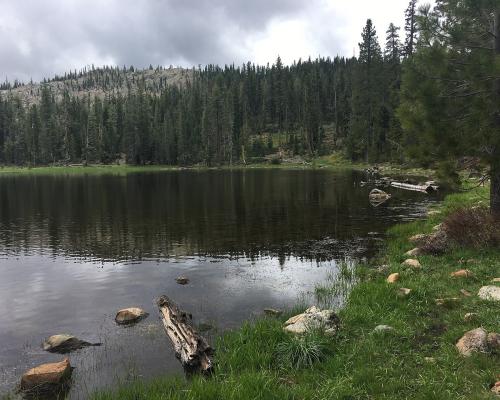Forest Service Workers Kidnapped: California Hostage Crisis