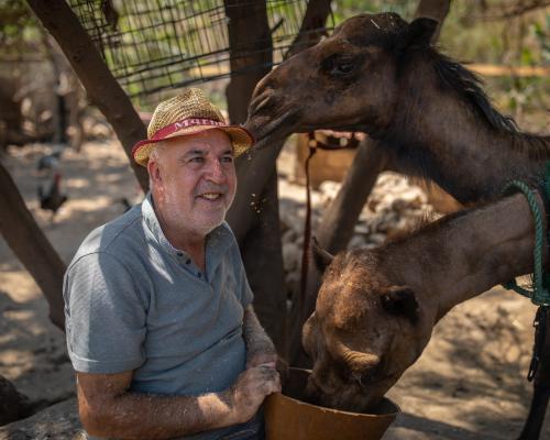 Dog Saves Man from Bomb; He Stays to Rescue Lebanon's Animals