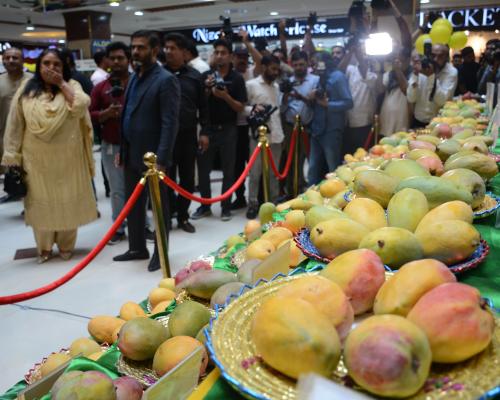 South Asian Mangoes in Australia: Sweet Nostalgia Unites Rivals