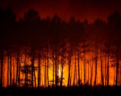 France and Spain Race to Contain Wildfires Before Heatwave