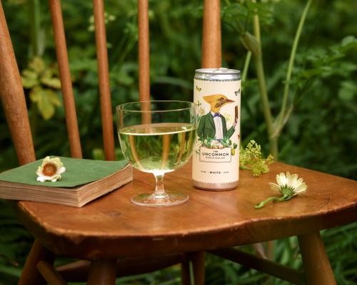 Canned Wine Revolution: Why It's Not Just for Gen Z Anymore