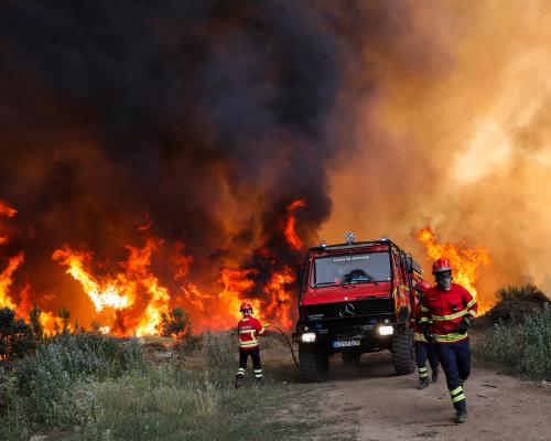 Wildfires Force Impossible Choices for Firefighters