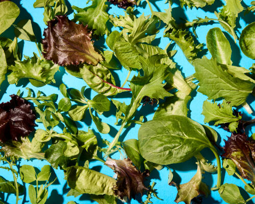 Best Supermarket Salad Bags Tasted and Rated for 2026 - grandgoldman.com