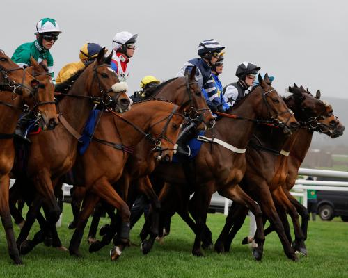 Cheltenham Festival Crackdown Targets Rising False Starts