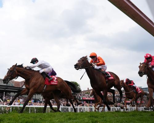 Piece of Heaven Wins Chester Cup After Ground Chaos Averted - grandgoldman.com