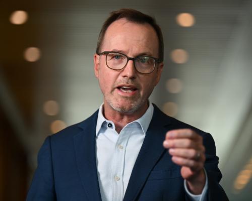 Australia AI Policy Debate: Shoebridge Criticises Labor Delay