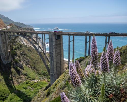 Alcohol Withdrawal Caused Her Death in California Backcountry
