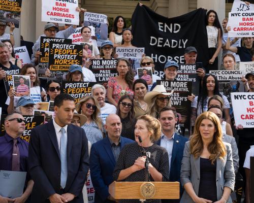Central Park Carriage Ban Debate: Who Speaks for the Horses?
