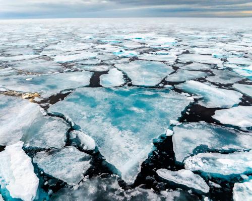 Arctic Ice Melt Slowdown Ends with Record Winter Decline