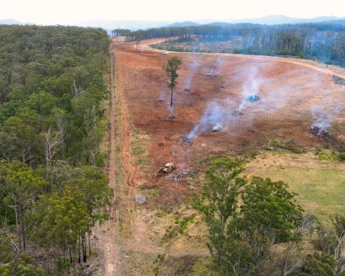 NSW Woody Habitat Clearing Surges Despite Pledges to Curb It