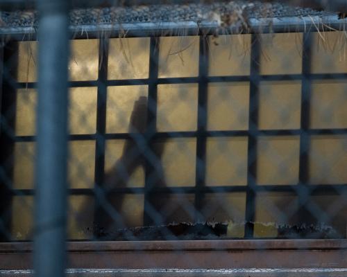 Tuberculosis Outbreak at Colorado ICE Jail Sickens 12 Detainees