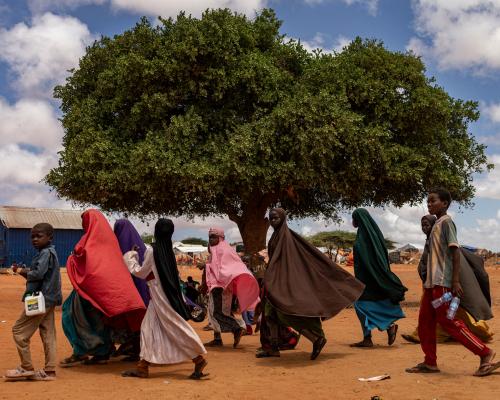 UK Aid Cuts to Somalia: Impact on Lives and Livelihoods