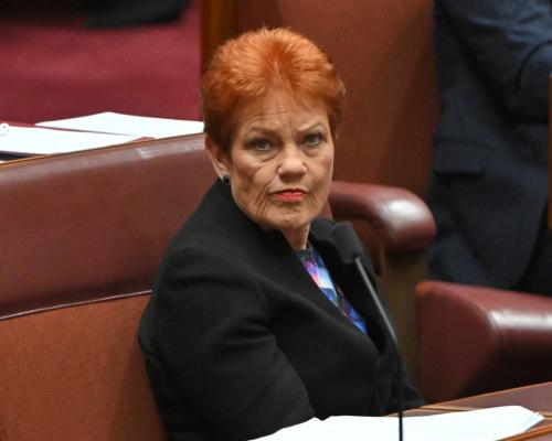 Domestic Violence Comments by Pauline Hanson Spark Outrage