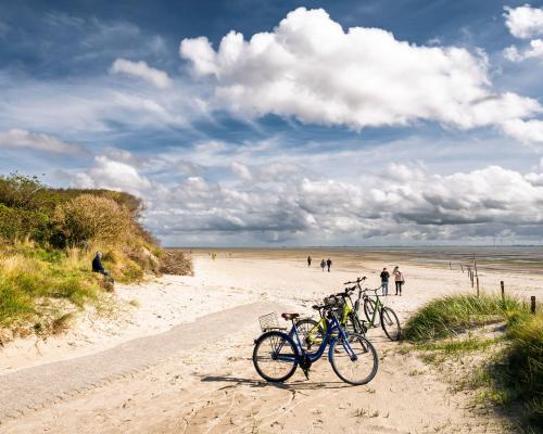 East Frisian Islands: Mudflats, Marshes, and Millions of Birds
