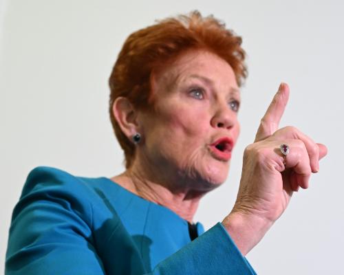 Pauline Hanson Domestic Violence Leave Comments Spark Outrage