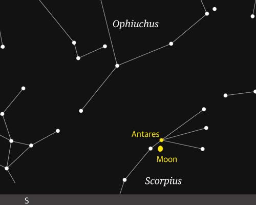 Scorpius Constellation: How to Spot the Scorpion This Week
