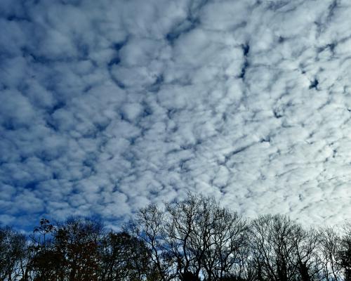 English Summer Clouds: Mare's Tails and Mackerel Skies Warning