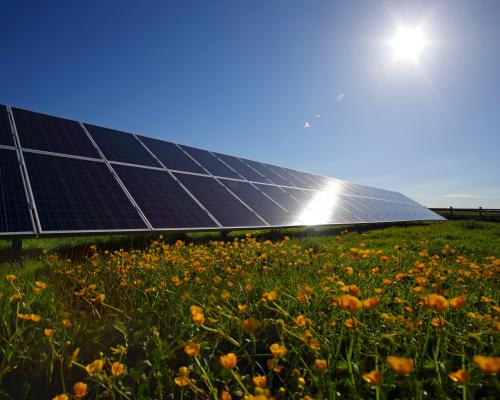 Carbon Capture Is a Fig Leaf for Fossil Fuel Expansion