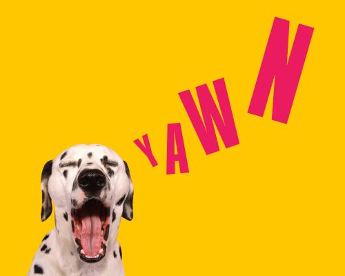 Dog Tired? 13 Surprising Causes and Simple Solutions to Boost Ene