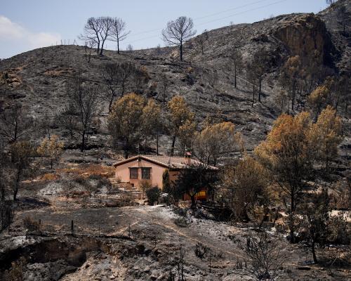 Spain Wildfires Kill 12 Foreign Nationals Including 7 Britons