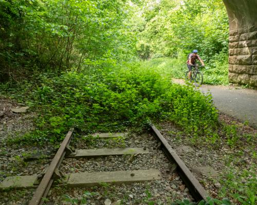 Old Railway Line Walks: Discover Nature Trails on Colliers Way