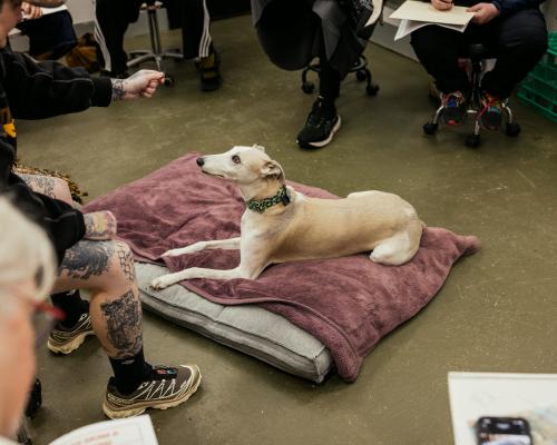 Greyhound Life Drawing: Artists Tackle Unique Shapes