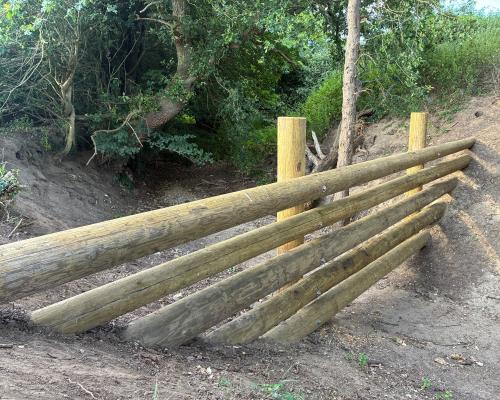 Beaver-Style Flood Defenses: Natural Solutions for Climate Extrem