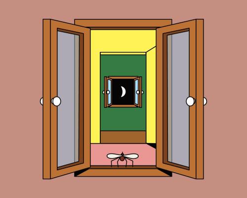 Should My Partner Stop Leaving Windows and Doors Open - grandgoldman.com
