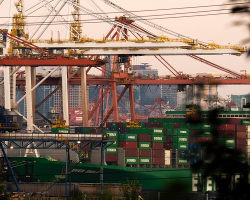 Democrats Slam Trump's Forced Labor Tariffs as Illegal End-Run