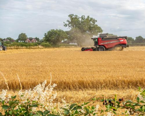 Food Price Fears Rise After Heatwave Destroys €2bn Crops