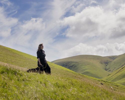 These Wild English Review: A Mother's Drift to the Far Right