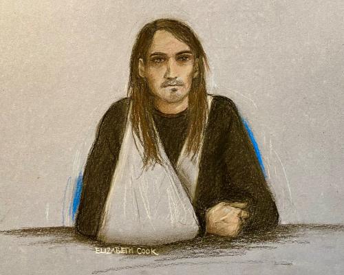 Man Pleads Not Guilty to Threatening Andrew Mountbatten-Windsor Near - grandgoldman.com