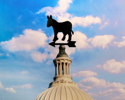US Midterm Races That Will Decide Control of Congress