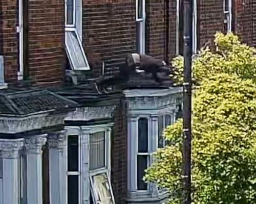 Kidnap Victim Escapes Through Window in Lincoln Ordeal