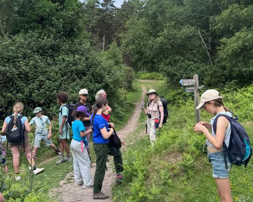 Family Walking Holiday in Exmoor: Trains, Trees, and Ice-Cream