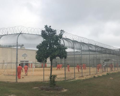 Venezuelan Man Dies in ICE Custody: 22nd Death This Year