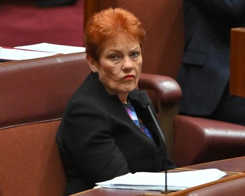 Pauline Hanson Criticized Over Domestic Violence Leave Comments
