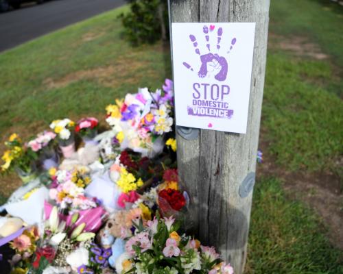 Domestic Violence Report Buried in Queensland Amid Rate Hike