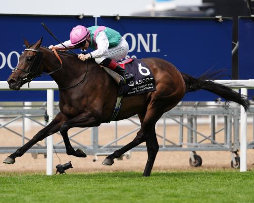 Kalpana Wins King George VI Stakes in Thrilling Ascot Victory